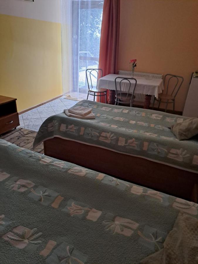 Hotelik Warmia -Pensjonat, Hostel Lidzbark Warmiński Buitenkant foto